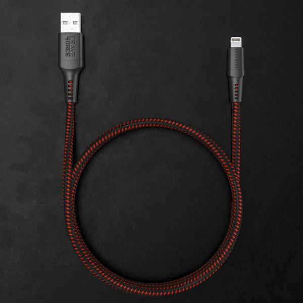 4ORCE Cable - 4 ft Lightning to USB-A Goldberg